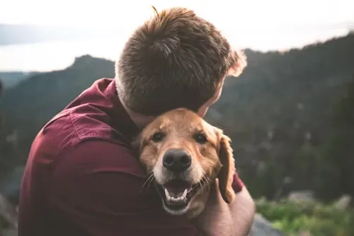 Man holding dog, advantages and disadvantages of dog boarding and training-loldogcat