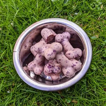 Frozen Blueberry Cubes For Dog Health-loldogcat